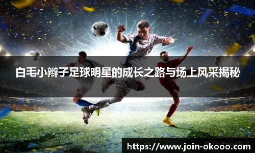 okooo澳客网官网