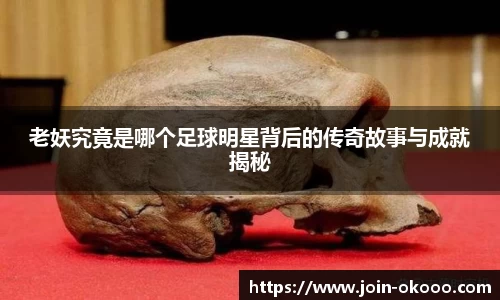 okooo澳客网官网